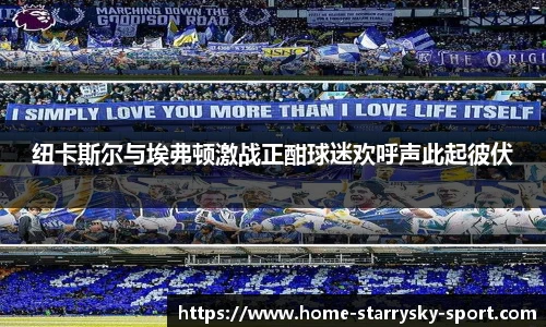 纽卡斯尔与埃弗顿激战正酣球迷欢呼声此起彼伏