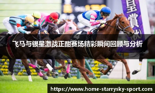 飞马与银星激战正酣赛场精彩瞬间回顾与分析
